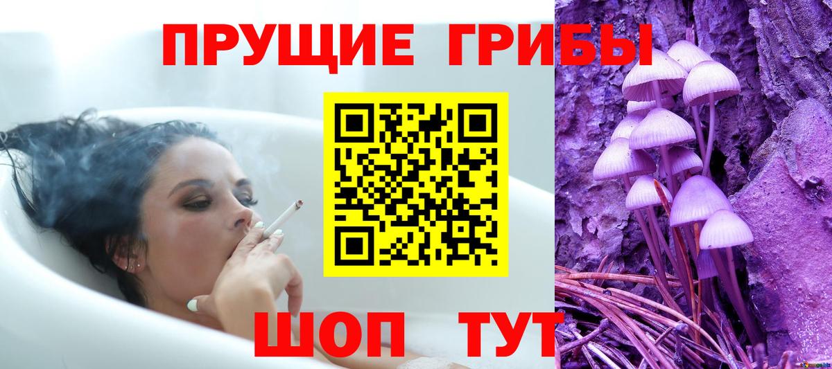 Псилоцибиновые грибы GOLDEN TEACHER Кашира